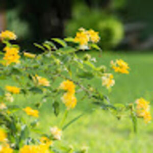 Meet your Posher, Jacque